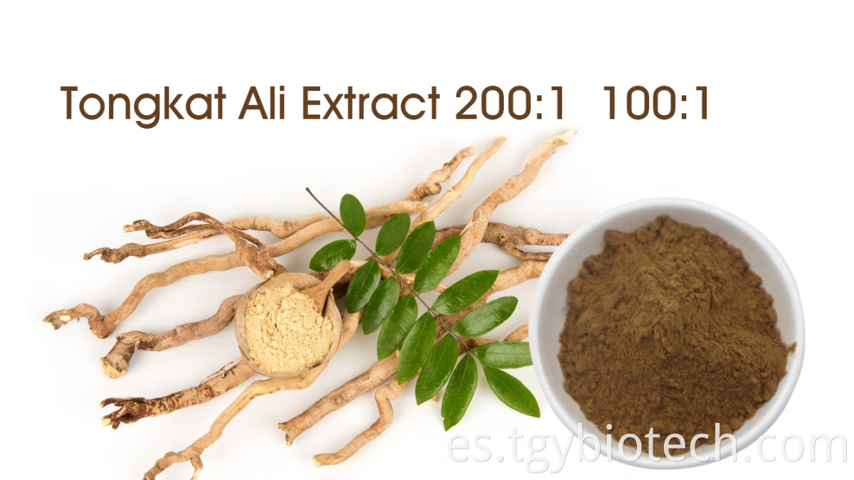 Tongkat ali extract powder